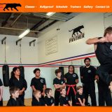 Panther Martial Arts